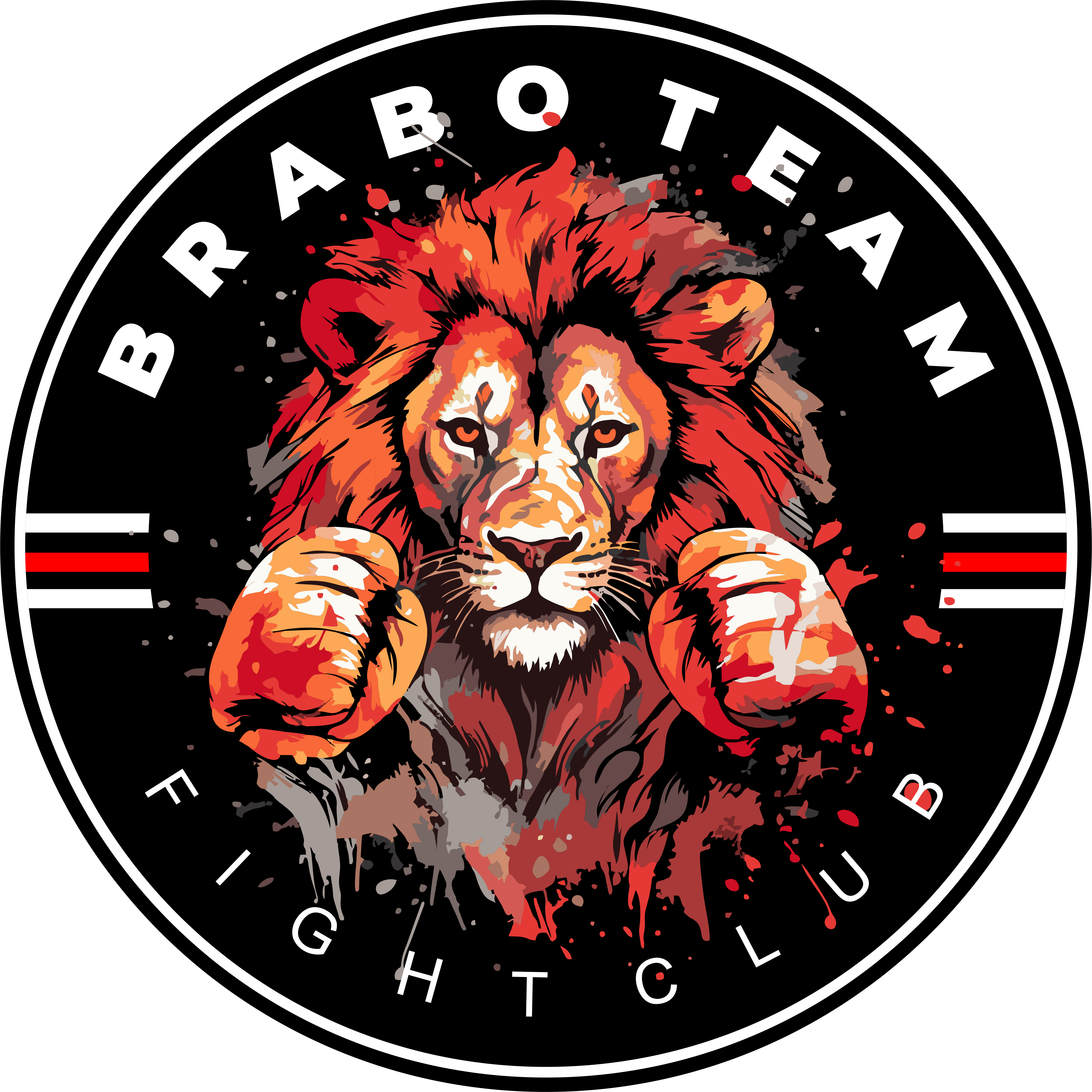 Brabo Team Fight Club